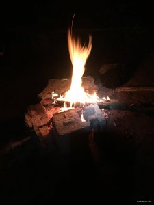 902404BC-C01A-4040-B028-6E92977F5945.jpeg