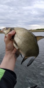 IMG_20200514_104341.jpg