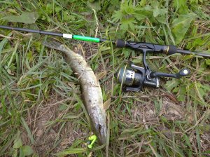 IMG_20200517_180813_1.jpg