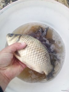 IMG_20200516_093833.jpg