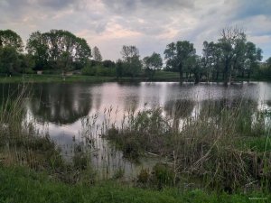 изображение_viber_2020-05-17_21-02-05.jpg