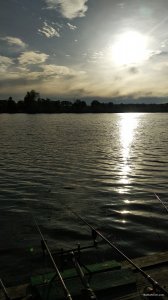 IMG_20200515_183418.jpg