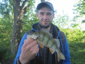 IMG_2784.JPG