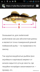 Screenshot_2020-05-21-22-33-24.png