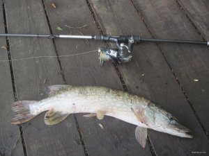 IMG_2809.JPG