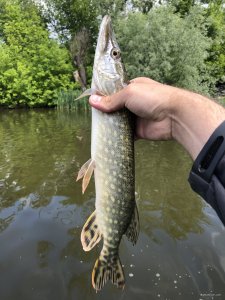 3C3BB2E3-4A8F-450E-AE7B-C565F31F1029.jpeg