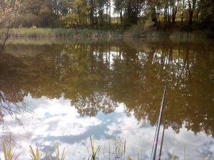 IMG_20200524_171246.jpg