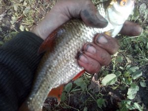 IMG_20200524_181909.jpg