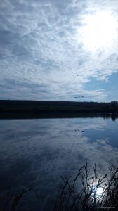 P00524-074156[1].jpg
