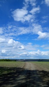 P00524-153232[1].jpg