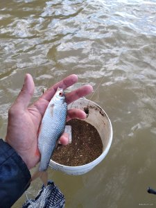 IMG_20200523_175352.jpg