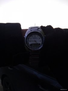 IMG_20200524_044652.jpg