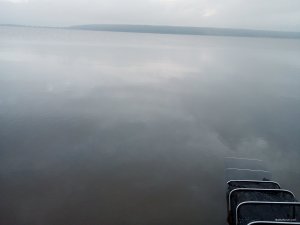 IMG_20200527_072844.jpg