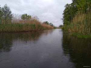 IMG_20200526_140746.jpg