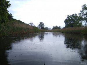 IMG_20200526_141432.jpg