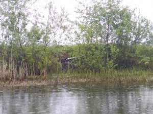 IMG_20200526_140753.jpg