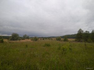 IMG_20200526_175007.jpg