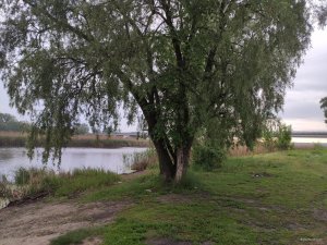 IMG_20200529_060621.jpg