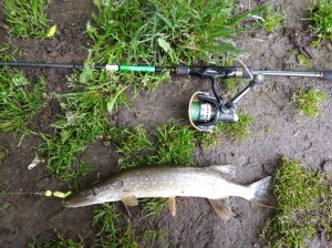 IMG_20200531_072347_1.jpg