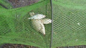 IMG_20200601_120904.jpg