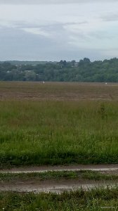 P00603-062339[1].jpg