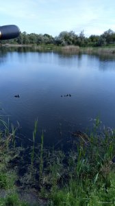 P00603-082612[1].jpg