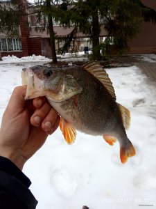 IMG_20200217_093737.jpg