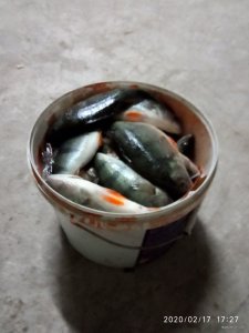 IMG_20200217_172704.jpg