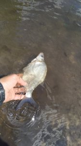 IMG_20200604_132728.jpg