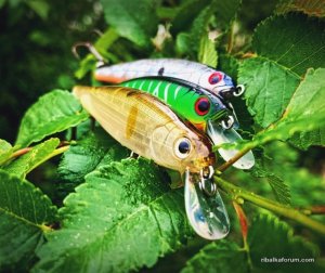 718B1481-E388-47DB-862D-61A68092C484.jpeg