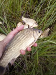 IMG_20200605_120752.jpg