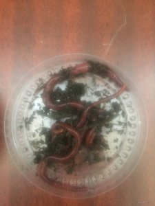 image5.jpeg