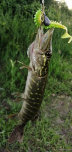 IMG_20200607_192906.jpg