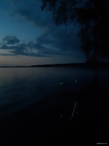 20200607_212921.jpg