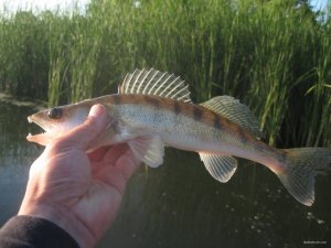 IMG_2833.JPG