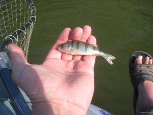 IMG_2848.JPG