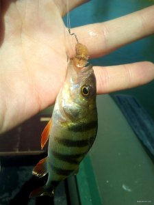 IMG_20200607_105630.jpg