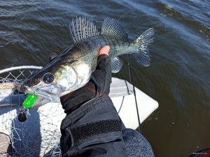 IMG_20200515_143116.jpg