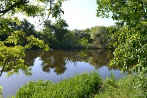 DSC_1114.jpg