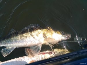 IMG_20200613_085639.jpg