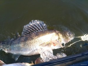 IMG_20200613_085635.jpg