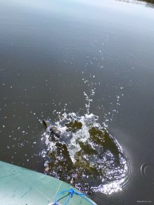 IMG_20200613_105144.jpg