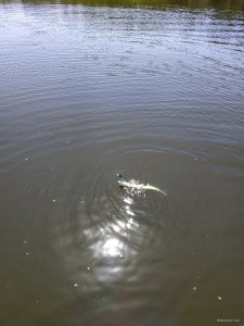 IMG_20200613_110959.jpg