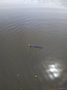 IMG_20200613_111008.jpg
