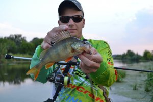 DSC_0496.jpg