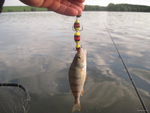 IMG_2904.JPG