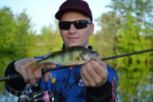 DSC_1253.jpg