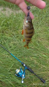 IMG_20200620_093305.jpg