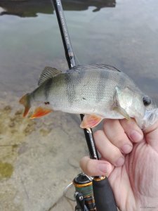 IMG_20200620_083750.jpg