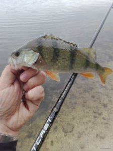 IMG_20200620_075015.jpg